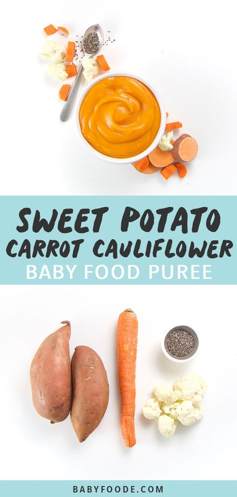 Homemade Baby Food Storage, Sweet Potato Carrot, Baby Carrot Recipes, Baby Food Puree, Making Baby Food, Diy Baby Food, Easy Baby Food Recipes, Vegan Baby, Healthy Baby Food