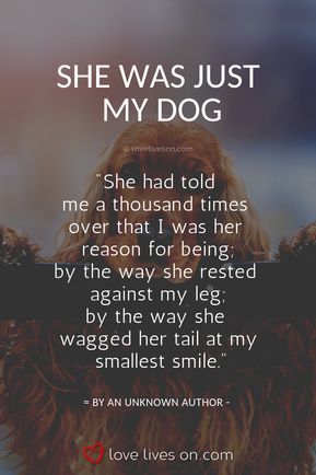 Losing A Pet Quotes, Pet Quotes Dog, Miss My Dog, Pet Quotes, Dog Poems, Dog Quotes Love, Dog Loss, Dog Heaven, Loss Of Dog