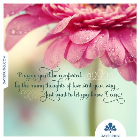 Sympathy Ecards | DaySpring Thinking Of You Quotes Sympathy, Sympathy Sentiments, Quotes Sympathy, Sympathy Card Sayings, Condolences Quotes, Missing Dad, Words Of Sympathy, Sending Prayers, Sympathy Card Messages