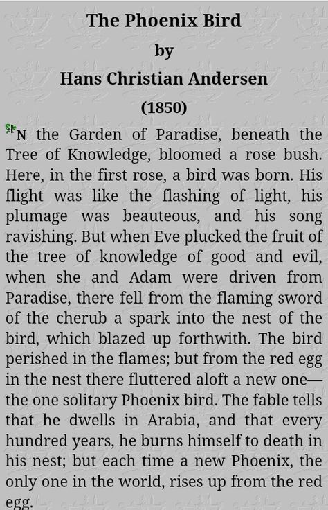 The Phoenix Bird by Hans Christian Andersen Story Of The Phoenix Bird, Meaning Of The Phoenix Bird, Phoenix Meaning Quotes, Phoenix Poems, Phoenix Bird Quotes, Phoenix Poetry, Phoenix Meaning, Real Phoenix Bird, The Phoenix Bird