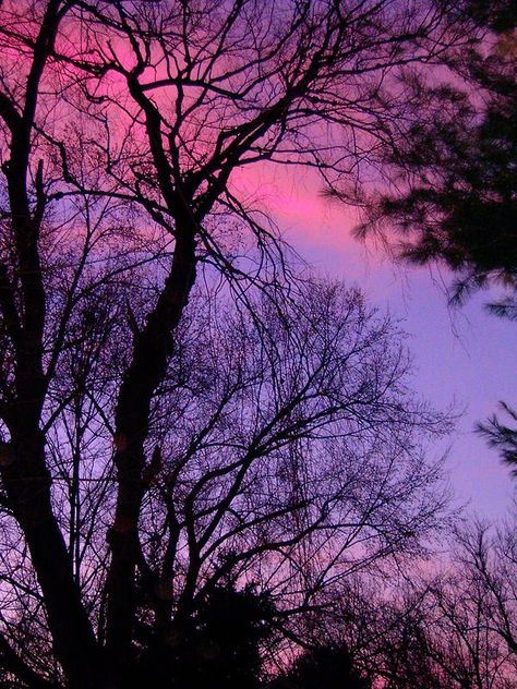 Pink And Purple Sunset, Dark Purple Aesthetic, Purple Sunset, Pink Sunset, Aesthetic Images, Purple Wallpaper, Purple Aesthetic, Chapter 1, Sky Aesthetic