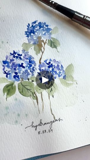 Watercolour Hydrangea, Sketchbook Exercises, Watercolor Paint Ideas, Q Tip Art, Watercolor Hydrangeas, Paper Rock Scissors, Chalk Sidewalk, Loose Watercolor Paintings, Miniature Watercolor