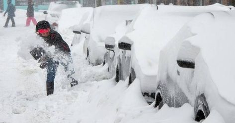 40 centimetres of snow causes 1,250 road accidents across Quebec | Globalnews.ca Snow Falls, Wild Weather, St Lawrence, Winter Storm, Strong Wind, Snow Storm, Natural Disasters, East Coast, Switzerland