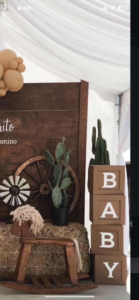 Country Gender Reveal Decorations, Wild West Gender Reveal, Vaquero Gender Reveal, Southern Gender Reveal Ideas, Gender Reveal Country Theme, Gender Reveal Ideas Country Theme, Gender Reveal Western, Baby Shower Ideas Cowboy, Cowboy Baby Shower Decorations