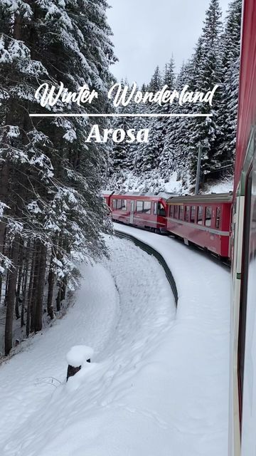 GoForExperiences in Switzerland on Instagram: "Scenic train ride to Arosa 😍🚂 #goswitzerland #goforexperiences #arosa #graubuenden #grisons #train #trainride #scenic #scenictrain #panorama #switzerland #suisse #schweiz #swiss #swissviews #snow #wonderland #winter #white #winterwonderland #switzerland_wonderland" Arosa Switzerland, Snow Wonderland, Switzerland In Winter, Scenic Train Rides, Most Haunted Places, World Globes, Train Ride, Train Rides, Our Planet