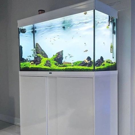 Aquarium Design Inspiration for a Modern Living Room

Searching for **small studio apartment ideas**? Discover aquarium designs that blend seamlessly with your **home décor** and **living room decoration** for a modern, fresh look. #InteriorDesign #AquariumIdeas Aquarium Stand Ideas Modern, Sims Room, Fish Tank Cabinets, Aquarium Cabinet, Aquarium Architecture, Fish Aquarium Decorations, Amazing Aquariums, Aquarium Stand, Office Interior Design Modern