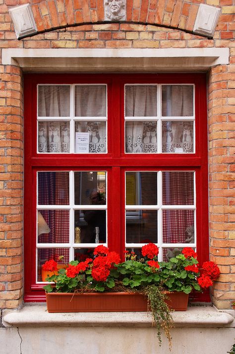 Shutters Cottage, Window Frame Colours, Red Windows, Log Cabin Exterior, European Windows, Split Foyer, Cottage Windows, Window Photography, Outside Paint