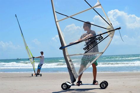 Kite Buggy, Land Sailing, Mountain Board, Vintage Airline Posters, Fish Activities, Dry Land, Dune Buggy, Windsurfing, Skateboard Decks