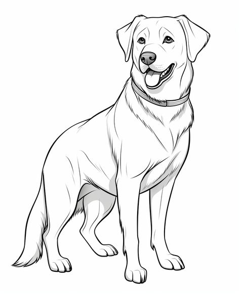 Dog For Coloring, Dog Sketch Easy, Labrador Coloring Page, How To Draw Dogs, Drawings Of Dogs, Border Collie Coloring Page, Dog Smiling, Dog Pencil Drawing, Dog Clipart Black And White