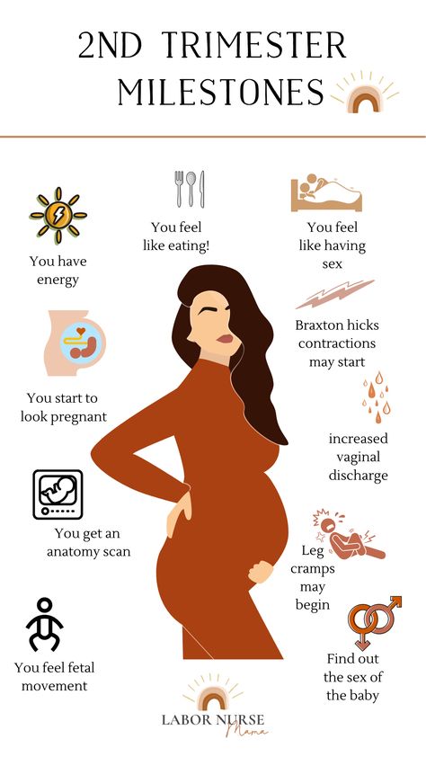 ah....second trimester. Most often then not, the second trimester is the best part of pregnancy. ⁠⁠ ⁠⁠ ⁠⁠ Pregnancy Facts, First Time Pregnancy, Creative Pregnancy Announcement, Pregnancy Help, Pregnancy Checklist, Healthy Pregnancy Tips, Labor Nurse, Pregnancy Info, Pregnancy Labor