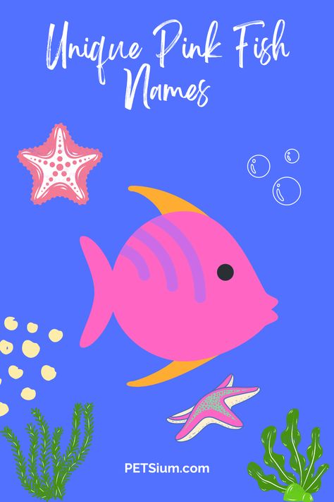 Pink Fish Names: 175+ Cute, Unique and Funny Suggestions - Petsium Funny Fish Names, Beta Fish Names, Fish Names, Cute Pet Names, Aquatic Pets, Funny Fish, Tiny Fish, Pink Fish