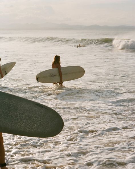 Surf Summer Aesthetic, Surfer Photography, Surfer Vibes, Surfer Lifestyle, Surfing Aesthetic, Surf Aesthetic, Surfing Pictures, Summer Surf, Surfing Photography