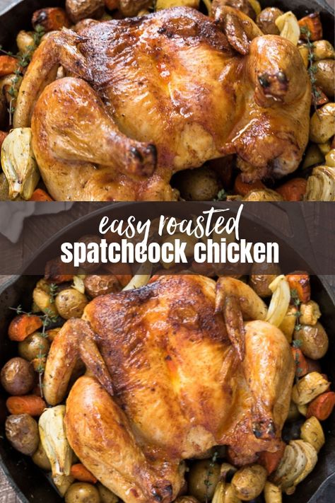 Spatchcock Roast Chicken is a quick and easy roast chicken dinner without the fuss! This is a one pot dinner that the entire family will love, and it cooks up in one hour! #chicken #onepotdinner #spatchcockchicken Chicken Marsela, Roasted Spatchcock Chicken, Walnut Chicken Recipe, Verde Soup, Chicken In The Oven, Root Vegetables Recipes, Winter Dinners, Roast Chicken Dinner, Frugal Food