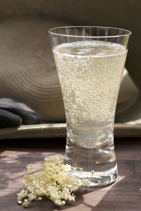 How To Make Elderflower "Champagne" - A Summer Tradition Elderberries Recipes, Elderflower Recipes, Elderflower Champagne, Elderberry Flower, Champagne Recipe, Elderberry Recipes, Summer Traditions, Homemade Soda, Fermentation Recipes