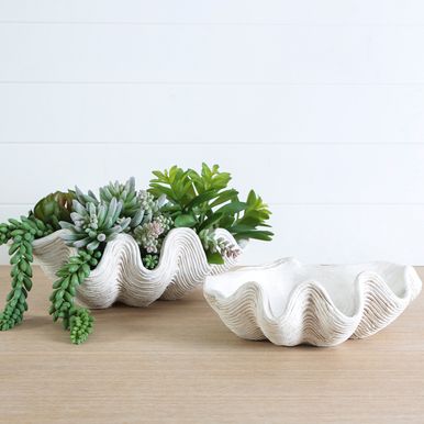 Shell Plate, Giant Clam Shell, Giant Clam, Shell Bowl, All The Small Things, Shell Decor, Electric Blankets, Clam Shell, Pillow Talk