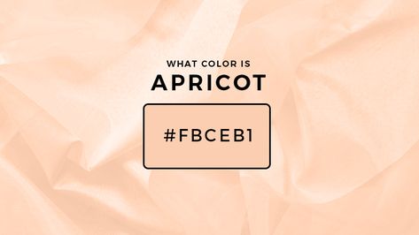 Apricot Paint Color, Light Apricot Color, Huge Vase, Ice Painting, Brand Moodboard, Apricot Fruit, Colors Of Fire, Apricot Color, Bedroom Idea