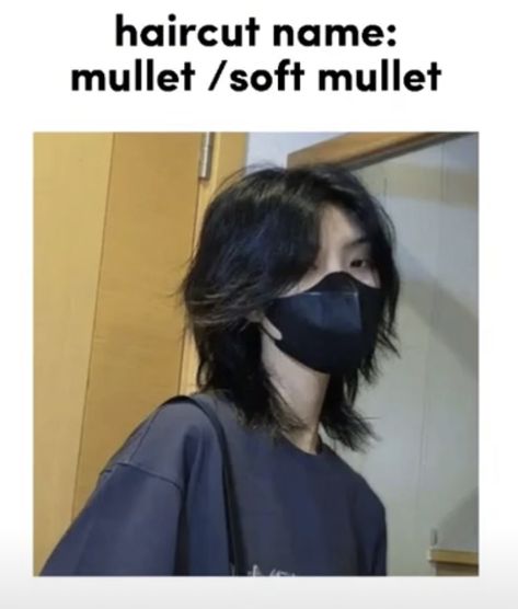 Korean Haircut Wolfcut, Japanese Wolfcut, Mullet Front View, Soft Mullet Short, Soft Mullet Haircut, Soft Mullet, Straight Thick Hair, Korean Mullet, Short Mullet