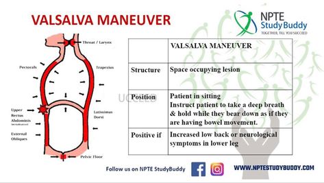 Valsalva Maneuver, Nursing Mnemonics, Study Buddy, Emergency Medicine, Speech Pathology, Breathing Techniques, Take A Deep Breath, Physical Therapy, Nursing