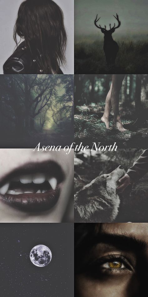 Werewolf Oc Female, Wolf Aesthetic Dark, She Wolf Aesthetic, Werewolf Wallpaper, Werewolf Eyes, True Alpha, Wolf Aesthetic, Female Werewolves, Fantasy Aesthetics