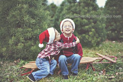 sled + trees Christmas Tree Farm Pictures, Tree Farm Pictures, Christmas Tree Farm Mini Session, Christmas Photoshoot Kids, Outdoor Christmas Photos, Tree Farm Photo Shoot, Tree Farm Mini Session, Christmas Tree Farm Photos, Family Holiday Pictures