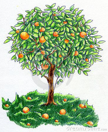 Orange Tree Hand Artwork, Landscape Design Drawings, Tree Drawings Pencil, Orange Plant, Artistic Pictures, Folk Art Flowers, Tree Images, Orange Tree, Tree Illustration