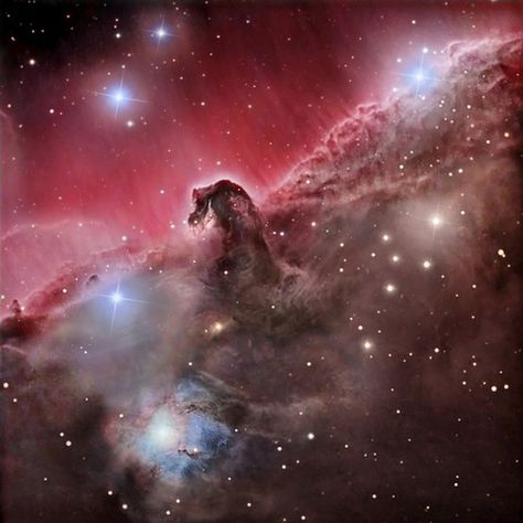 Orion horse head nubelua | Flickr - Photo Sharing! Meaningful Images, Horsehead Nebula, Hubble Images, Bill Nye, Dark Clouds, Hubble Space, Across The Universe, Space Pictures, Hubble Space Telescope