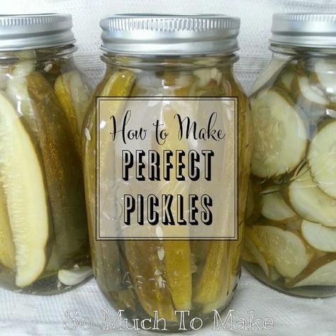 So Much To Make: How to Make Perfect Pickles; Instructions for canning crisp dill cucumber pickles Make Dill Pickles, Dill Cucumber, Cucumber Pickles, Pickle Vodka, Canning Pickles, Canning Vegetables, Canning Food Preservation, Canning Tips, Dill Pickles