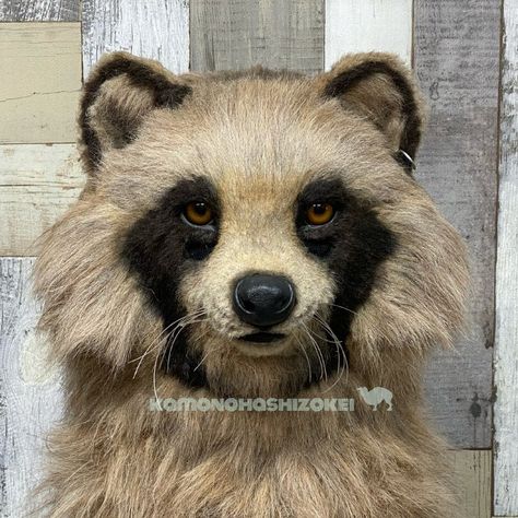 Raccoon Fursuit, Pumpkin Carving Inspo, Dino Mask Ideas, Environment Drawing, Fursuit Making, Mask Inspiration, Dino Mask, Fursuit Ideas, Cool Fursuits