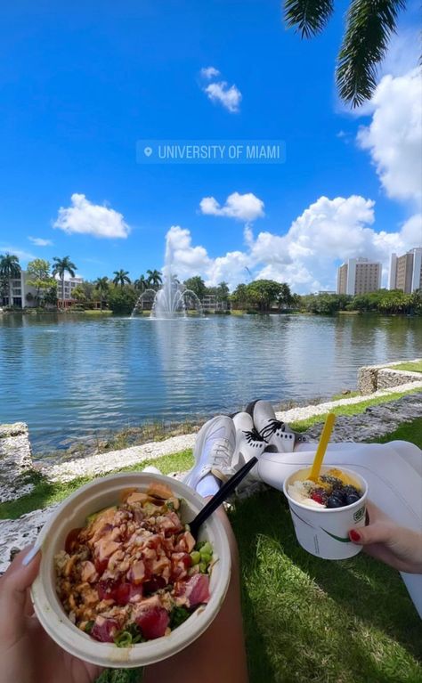 Umiami College Aesthetic, U Of Miami, Miami College, Colleges In Florida, College Of Charleston, University Of Richmond, Miami Life, College Aesthetic, Dream College