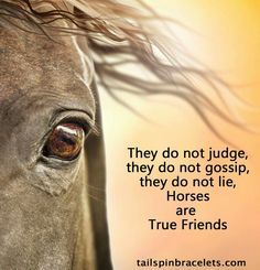 Well said. God, My mule, horses and dogs are my best friends Cute Horse Quotes, Horse Poems, Rodeo Quotes, Equine Quotes, Horse Quote, Cowgirl Quote, Inspirational Horse Quotes, Horse Riding Quotes, Equestrian Quotes