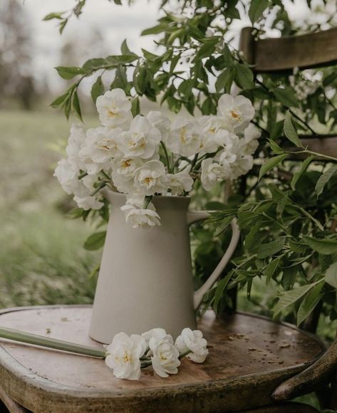 Summer Flowering Bulbs, Floral Chair, Flower Cart, Moon Garden, Plant Spacing, Spring Aesthetic, Bridal Crown, Bulb Flowers, Flowers Perennials