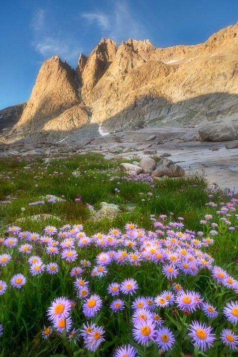 A Pilgrimage to the Wind River Range – AdventuresNW Wind River Range Wyoming, Western Landscape, Island Lake, Continental Divide, Camping Area, North Cascades, Urban Area, Backpacking Travel, Glacier National Park