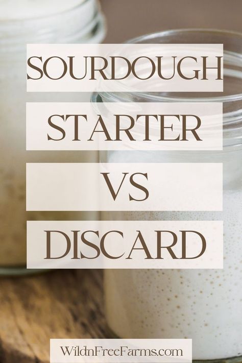 sourdough discard vs starter How To Feed My Sourdough Starter, Sourdough Starter Not Doubling, Sourdough Starter No Discard, Sour Dough Starter No Discard Recipes, What Is Sourdough Discard, No Discard Sourdough Starter, Sourdough With Inclusions, Sourdough Inclusions, Active Sourdough Starter