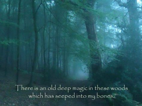 Nature Quotes Trees, Forest Quotes, Citation Nature, Mother Nature Quotes, Into The Woods Quotes, Forest Bathing, Wild Apple, Landscape Photography Nature, Walk In The Woods