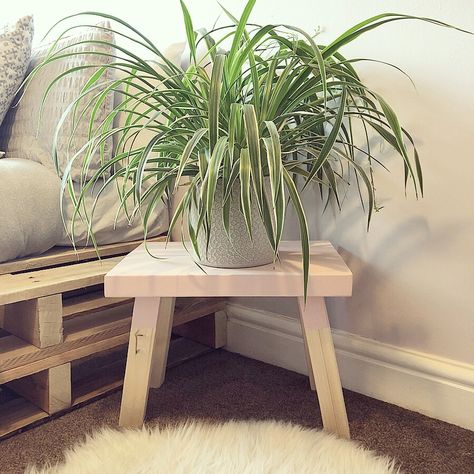 Diy Round Plant Stand, Diy Plant Stool, Plant Stool Indoor, Diy Plant Stands Indoor, Plant Tables, Plant Stool, Diy Stool, Indoor Greenery, India Home Decor