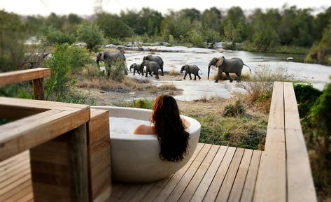 Each Londolozi Camp offers its guests luxurious accommodation, stunning views, exceptional cuisine and access to the best game viewing opportunities. Limo Luxury, South Africa Honeymoon, Lodges South Africa, Africa Honeymoon, Luxury Safari Lodge, Okavango Delta, Luxury Safari, Most Romantic Places, Luxury Lodge