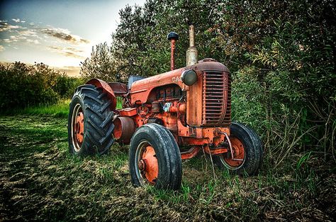 Old Tractor at Sunset | by Michael James Imagery Tractor Photography, Mode Country, Tractor Art, Tractor Photos, Country Backgrounds, Old Tractor, Tractor Accessories, Cafe Racer Build, Red Tractor