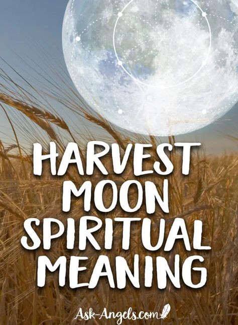 Harvest Moon Manifestation, Harvest Moon Spiritual Meaning, Harvest Moon Meaning, Harvest Moon 2023, Half Moon Meaning, Harvest Moon Ritual, Harvest Full Moon, Earth Wisdom, September Equinox