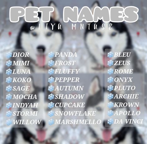 Cute Name For Cat, Unique Animal Names, Cute Pet Names Animals, Designer Dog Names, Pet Names Ideas, Cute Names For Puppies, Cute Dogs Name, Animal Names Unique, Cute Dog Names Unique