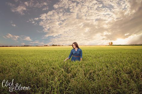 Rice Field Photo Shoot | clickandbloom.com Field Photo Shoot, Bali Photoshoot, Prenup Ideas, Green Waves, Bloom Photography, Field Photography, Pre Wedding Photoshoot Outdoor, Rice Field, Golden Green