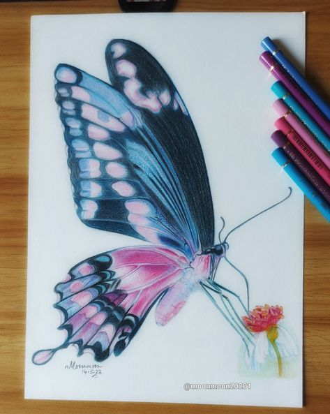 A Beautiful Butterfly 🦋 drawn with polychromos coloured pencils. Colored Pencil Butterfly, Pencil Realism, Butterfly On Flower, Kitsune Mask, Color Drawing, Crayon Art, Butterfly Drawing, Coloured Pencils, Color Pencil Art