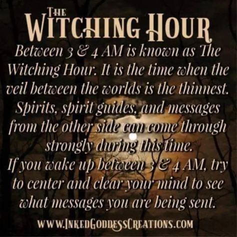 Unknown author Witches Broom, Random Tips, Witchy Tips, The Witching Hour, Broom Closet, Witch Quotes, Wiccan Magic, Witch Spirituality, Eclectic Witch