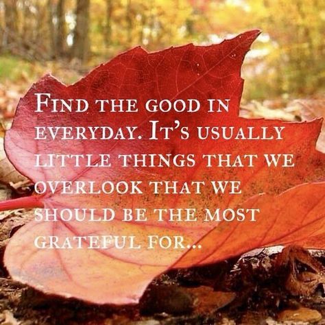 Fall Blessings Quotes, God's Miracles Quotes, Tough Quotes, Counting Blessings, Fall Blessings, Counting My Blessings, November Quotes, Grateful For Today, Grateful Quotes