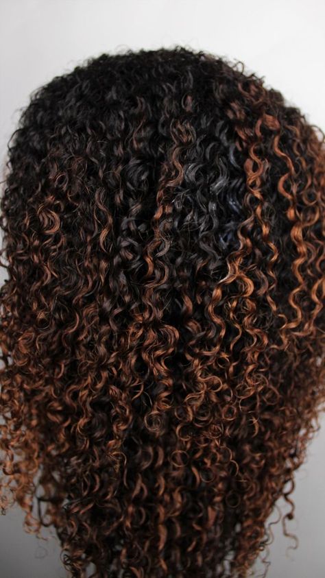 Curly Frontal Wig, Hairstyles 4c, Dyed Curly Hair, Highlights Curly Hair, Long Hair Tips, Low Porosity Hair Products, Hair Porosity, Colored Curly Hair, Glossy Hair