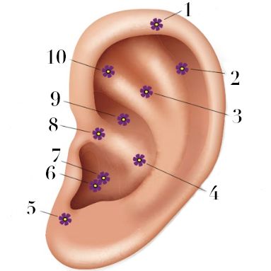 Since You Can't Get To Your Acupuncturist Right | Into The Gloss Ear Acupressure Points, Ear Reflexology, Ear Ringing, Seasonal Allergy Symptoms, Ear Seeds, Thyroid Imbalance, Massage Therapy Techniques, Pointed Ears, Acupuncture Points