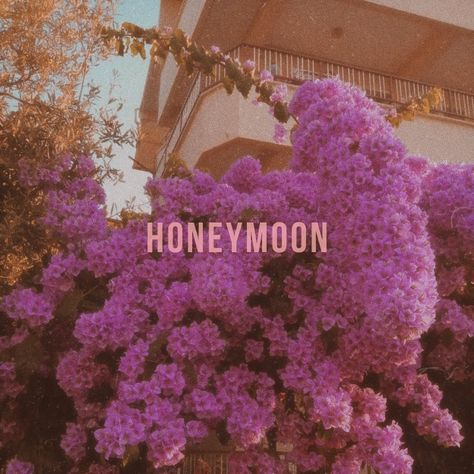 Vintage Summer Vibe Lana Del Rey Honeymoon Photoshoot, Honeymoon Aesthetic Lana Del Rey, Honeymoon Lana Del Rey Aesthetic, Lana Del Rey Honeymoon Aesthetic, Lana Honeymoon, Honeymoon Ldr, Angels Kissing, Honeymoon Lana Del Rey, Honeymoon Lana