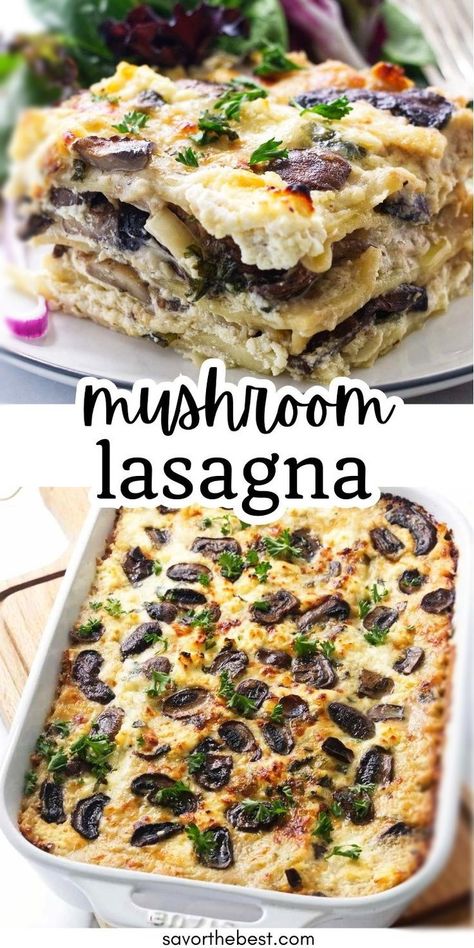 Freezer Friendly Lasagna, Mushroom Lasagna Recipe, Lasagna With Cottage Cheese, Spinach Mushroom Lasagna, Caramelized Mushrooms, White Cheese Sauce, Apartemen Studio, Mushroom Lasagna, Creamy White Sauce