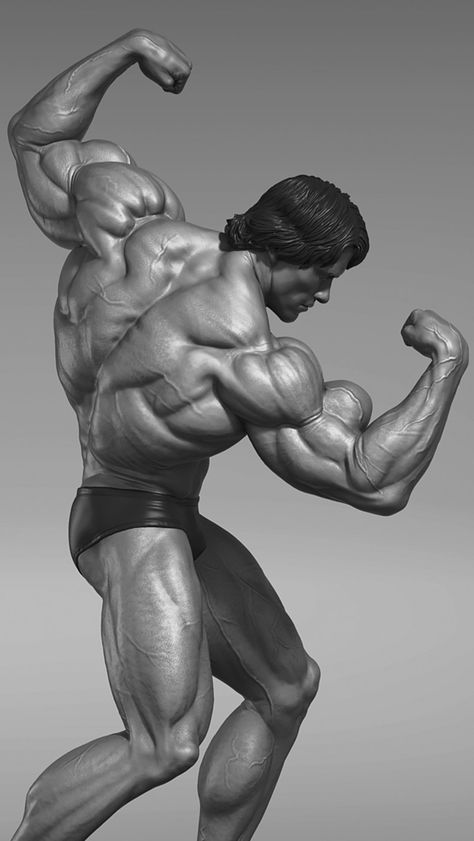 ArtStation - Arnold Schwarzenegger - Collectible, Bernardo Cruzeiro Arnold Pose, Arnold Body, Arnold Schwarzenegger Workout, Arnold Wallpaper, Arnold Schwarzenegger Gym, Arnold Schwarzenegger Muscle, Arnold Images, Arnold Bodybuilding, Arnold Photos