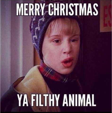 Ya filthy animal Christmas Happy Birthday, Funny Happy Birthday Meme, Christmas Memes, Merry Christmas Ya Filthy Animal, Ya Filthy Animal, Happy Birthday Meme, Funny Happy Birthday, Filthy Animal, Clean Humor