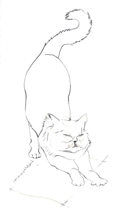 Cat Standing Drawing, Cat Stretching Drawing, Cat Poses, Cat Drawing Tutorial, Cat Stretching, Cat Stands, Cat Pose, Cat Drawing, Ink Drawing